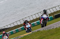 PJ-Motorsport-2019;anglesey-no-limits-trackday;anglesey-photographs;anglesey-trackday-photographs;enduro-digital-images;event-digital-images;eventdigitalimages;no-limits-trackdays;peter-wileman-photography;racing-digital-images;trac-mon;trackday-digital-images;trackday-photos;ty-croes